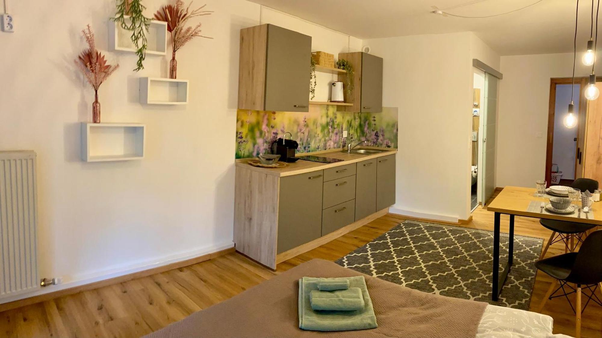 Donaustern Apartment *